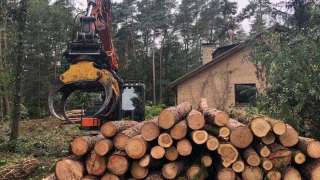 Specialist in tree uprooting Nijmegen