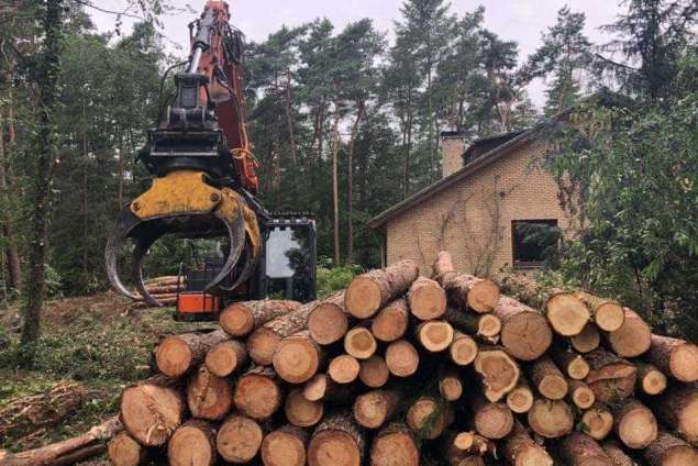 Specialist in tree uprooting Ooststellingwerf