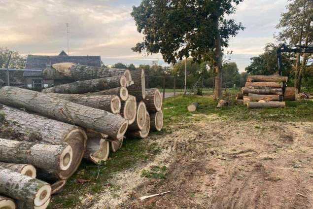 Bomen kappen Huibergen