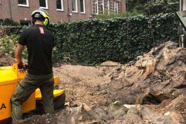 Groene stroom met Bomen rooien in Sint-Michielsgestel