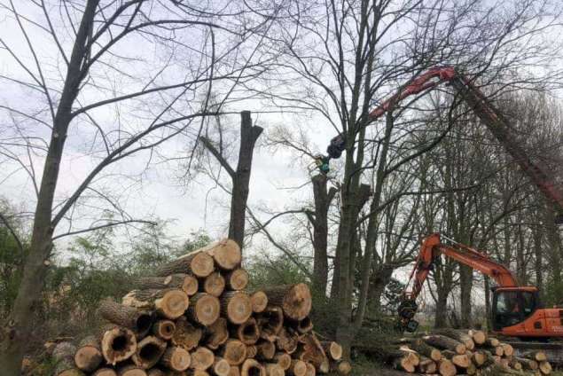 Machinaal verwijderen van de boomstronk  in Pekela