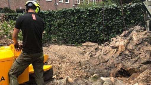 Handmatig bomen verwijderen  in Weststellingwerf