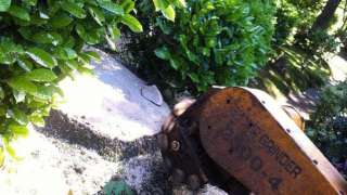 Overige tuinwerkzaamheden in Baarle-Nassau