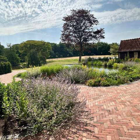 30 6 2025 - Blog - A van Spelde Hoveniers