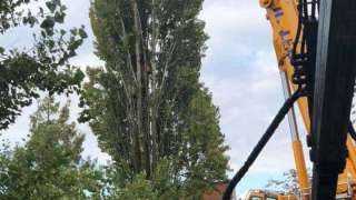 boom verwijderen cuijk hap herpen 1