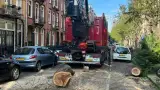 images/0000nieuws/2023/12-strom-boom-amsterdam/omgevallen-strom-boom-kapen-amsterdam-storm-polly.-hoveniers-bedrijf6-160x90-f1c