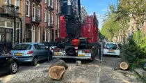 images/0000nieuws/2023/12-strom-boom-amsterdam/omgevallen-strom-boom-kapen-amsterdam-storm-polly.-hoveniers-bedrijf6-210x119-165