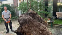 images/0000nieuws/2023/12-strom-boom-amsterdam/omgevallen-strom-boom-kapen-amsterdam-storm-polly.-hoveniers-bedrijf7-210x119-ab8
