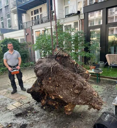 images/0000nieuws/2023/12-strom-boom-amsterdam/omgevallen-strom-boom-kapen-amsterdam-storm-polly.-hoveniers-bedrijf7-390x424-b2e