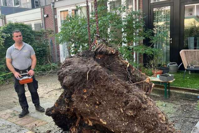 images/0000nieuws/2023/12-strom-boom-amsterdam/omgevallen-strom-boom-kapen-amsterdam-storm-polly.-hoveniers-bedrijf7-635x424-f9e