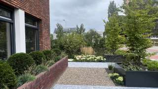 images/0000nieuws/2023/13-pim-noorder-meer-tuin-aanleggen/moderne-luxe-tuin-aanleggen-tuinarchitect-eindhoven1-320x180-0e9