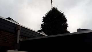 verwijderen van bomen in Eindhoven Mierlo door middel van klimmen en kraanwerk 