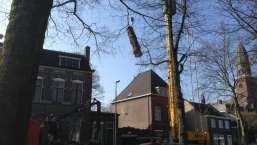 images/001-tuinaanleg-ettenleur/001bilthoven/Bomen-kappen-Tilburg-korvelplein-boom-verwijderen-029-257x145-08b