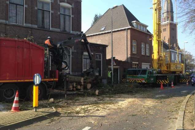 Bomen kappen Bilthoven