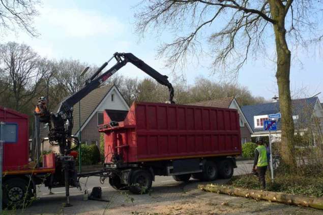 Bomen kappen Waalwijk