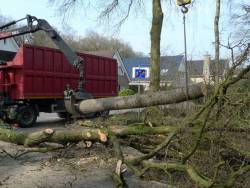 Bomen kappen Bunschoten Spakenburg