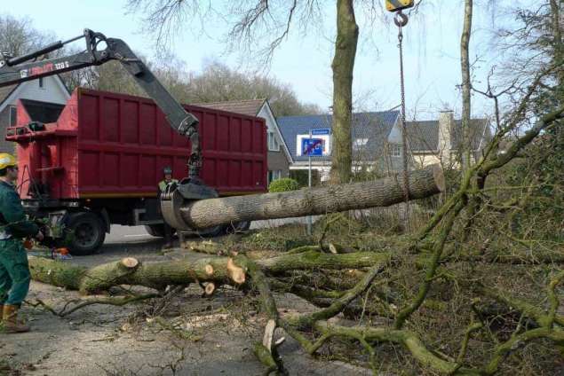 Bomen kappen Bunschoten Spakenburg