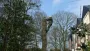 images/001-tuinaanleg-ettenleur/001bilthoven/Verwijderen-van-dikke-bomen-Bilthoven-90x51-215