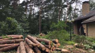 Verwijderen bomen eerbeek 