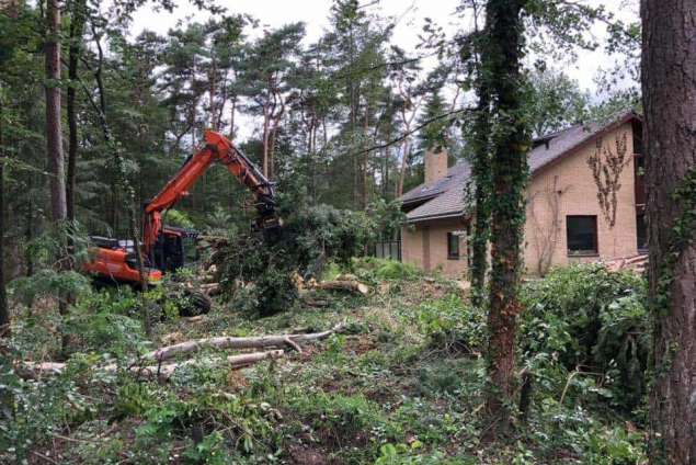 Bomen kappen Hollandsche Rading