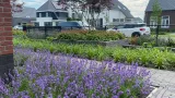 images/001-tuinaanleg-ettenleur/rene-molenaar/mooie-tuinen-voorbeelden-tilburg-160x90-8f7