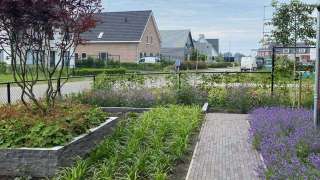 images/001-tuinaanleg-ettenleur/rene-molenaar/mooie-tuinen-voorbeelden-tilburg-oisterwijk-320x180-93c