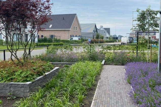 images/001-tuinaanleg-ettenleur/rene-molenaar/mooie-tuinen-voorbeelden-tilburg-oisterwijk-635x424-ff5