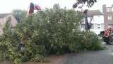 images/005 bomen rooien schindel/1 Boom verwijderen uit achtertuin Bergen op Zoom-160x90-be2