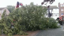 images/005 bomen rooien schindel/1 Boom verwijderen uit achtertuin Bergen op Zoom-210x119-4e0