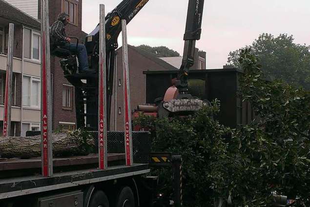 images/005 bomen rooien schindel/1 Indicatie kosten bomen rooien Bergen op Zoom-635x424-7c2