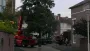 images/005 bomen rooien schindel/1 boom rooien Bergen op Zoom-90x51-1e6