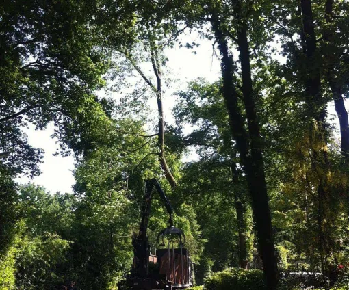 images/027 eikenboom kappen/rooien van bomen in ulvenhout-510x424-ea3