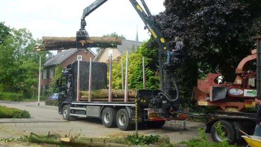 afvoeren van coniferen en opladen stammen coniferen houet op vrachtwagen