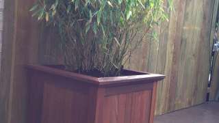 images/034 tiel ron/1 Keramische buiten tegels met een hardhoute pot met bamboe-320x180-6c5