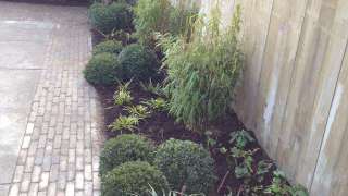 Aanleggen van een beplanting in Tilburg bijzondere tuinen maken begint met een goed tuinontwerp
