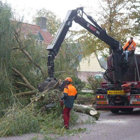 images/3 a rooien en slopen van bomen uit de achtertuin in tilburg chaam esbeek hilvarenbeek-480x480-c35