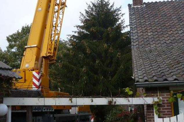 images/5 a rooien en kappen van coniferen sparrenbomen dennenbomen kerstbomen fruitbomen tilburg breda waalwijk vught den bosch rosmalen-635x424-7c2