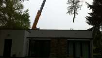 images/dongen/Bomen rooien bomen kappen bomen vellen bomen snoeien Hilvarenbeek Waalwijk Waarle-210x119-b8b