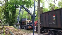 images/dongen/bomen rooien bomen kappen bomen vellen bomen snoeien hoe kap ik een boom Mill en Sint Hubert aalburg-210x119-09e