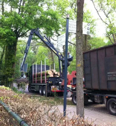 images/dongen/bomen rooien bomen kappen bomen vellen bomen snoeien hoe kap ik een boom Mill en Sint Hubert aalburg-390x424-a09