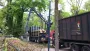 images/dongen/bomen rooien bomen kappen bomen vellen bomen snoeien hoe kap ik een boom Mill en Sint Hubert aalburg-90x51-151