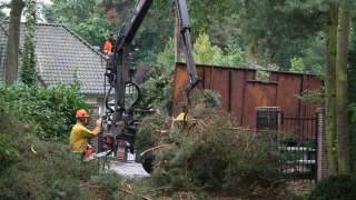 rooien dennen bomen bij villa in Vught met telescoopkraan afvoeren van takken dikhout en groenafval